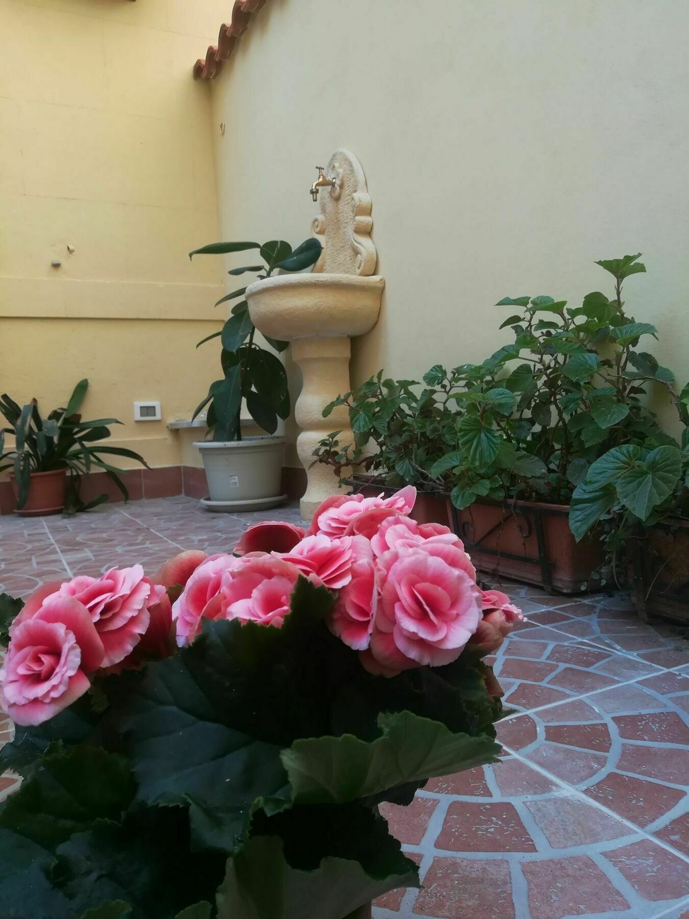 Le Rose Del Viale Hotel Palermo Luaran gambar